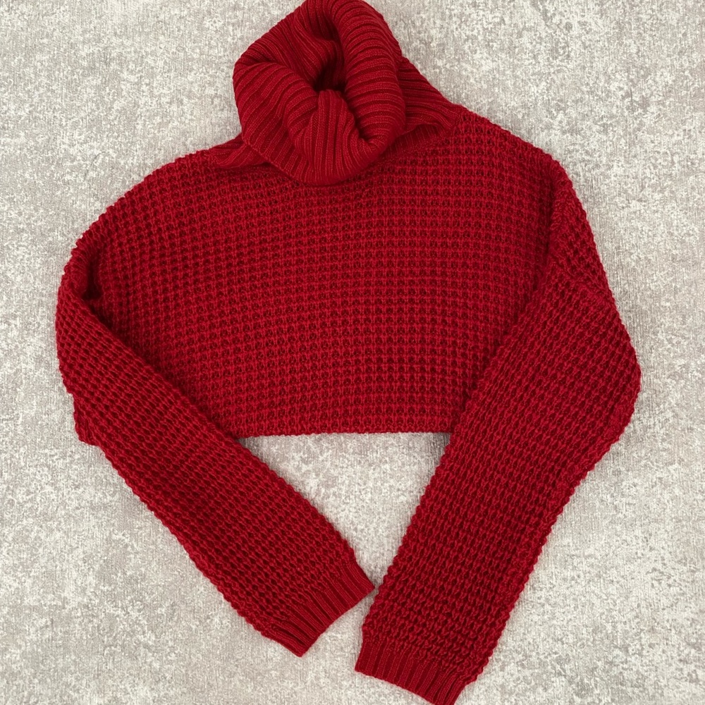 Pink Lily Knit Fabric Red Turtleneck Sweater (S)